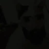 GATOS ANIMADOS ❤️🐈 8