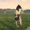 Vaca bailando 🐮 7
