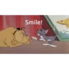 Tom and Jerry 15