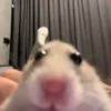 🎵 TIKTOKeando 48 🎵 17