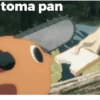 toma pan