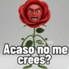 📱💬 Objetos hablando 🪞💬 9
