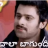 Prabhas 22