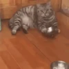 ДАВАЙТЕ ЕСТЬ! 6
