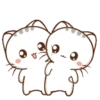 Mishis Bonitos 2 🐱 23