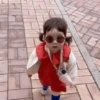 MEMES ANIMADOS ❤️ 8