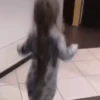 Niñitos Divertidos ✨🧒👶 8