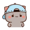 🍑 Gatos Peach y Goma 😻🫶🏻 14