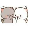 Cat love 12