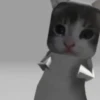 GATINHOS MEMES😹 11