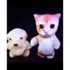 Perritos bailando pal chat 🤣 5