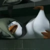 Pinguins de Madagascar 6