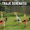 TRAJE SERENATA!