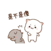 Gatitos amorosos gif 10