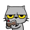 Stiker GIF Kucing Lucu 10