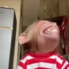Monkeys 3 7