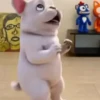 New Emote de king nasir🔥📲 5