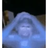 Aaaaa 7