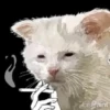 Smoking a Cigarette 🗣️💨 5