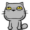 Stiker GIF Kucing Lucu 13