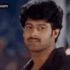 Prabhas 17