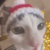 NAVIDAD RANDOM 🎄❤️ 28