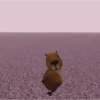 Tiktok dancing 8