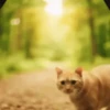 Gatos  22