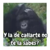 Monos | Monkey 🐵🍌 10
