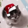 NAVIDAD RANDOM 🎄❤️ 10
