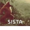 SISTA