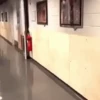 Давайте отпразднуем! 🤩 8