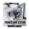 TIENES QUE ESTAR BROMEANDO