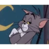 Tom and Jerry 14