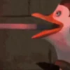 Pinguins de Madagascar 14