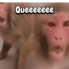 Queeeeeee