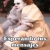 🧿Modo Payaso🤡🎪 13