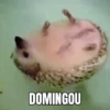 DOMINGOU
