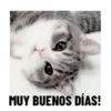 MUY BUENOS DÍAS!
