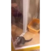 Cat 8