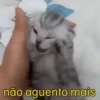 Dramáticas  14