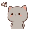Cat love 16