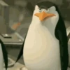 Pinguins de Madagascar 5