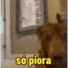 Cachorros debochados 11