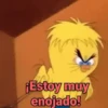 Piolin 2.0 23