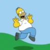 Homer 🤣 8
