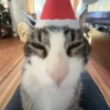 NAVIDAD RANDOM 🎄❤️ 22