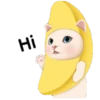 Cute cat 9