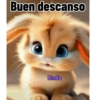 Axy Linda 2026-6 13