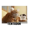 TENTADOR